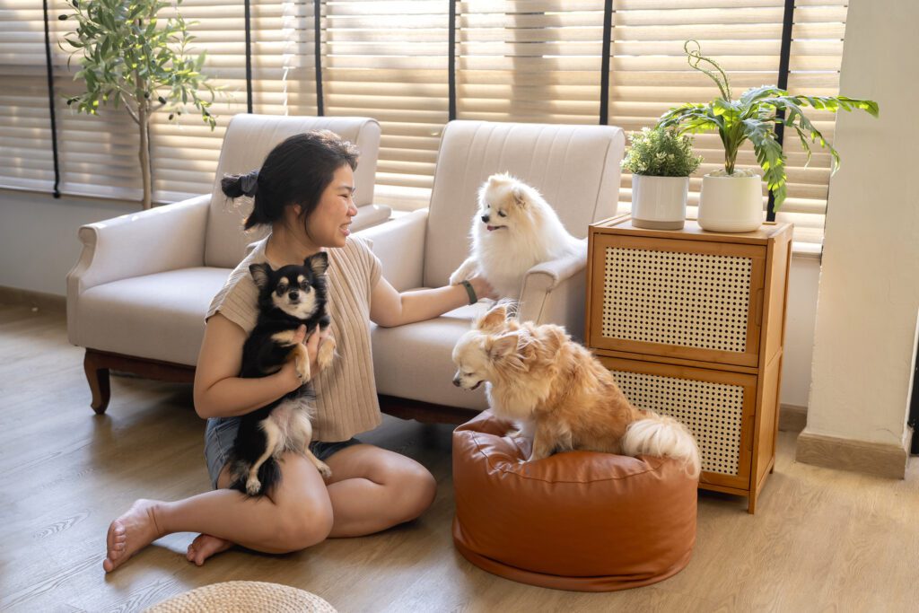 Woman with three small dogs in living room.